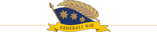 Udruženje Generala BiH - Logo